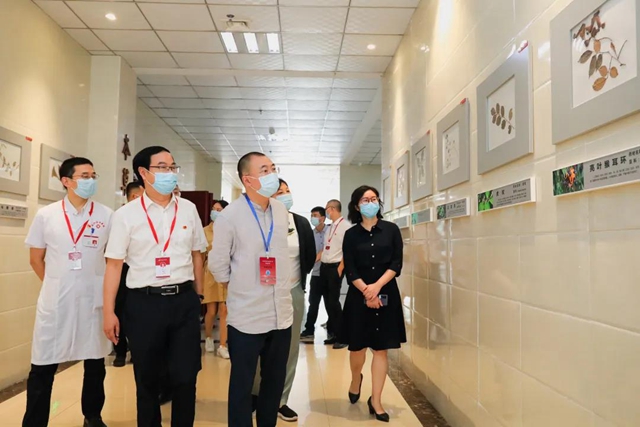 国家级评审组到合江县中医医院开展“创建全国基层中医药工作示范市”评审工作(图2) 国家级评审组到合江县中医医院开展“创建全国基层中医药工作示范市”评审工作(图2)