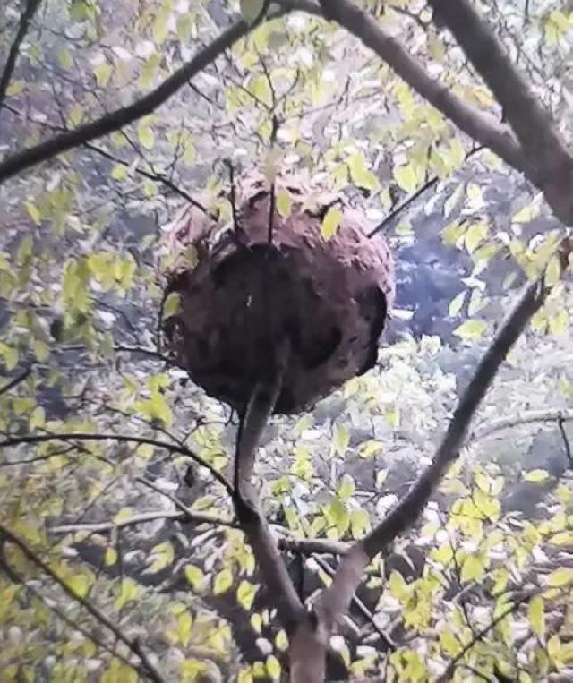 13人惨遭意外袭击，如果你遇到了要这样自救(图3)