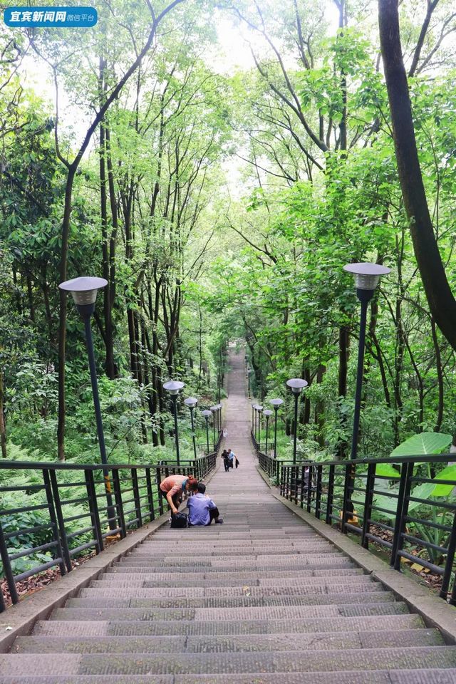 宜宾这3座山，绝了！(图4)