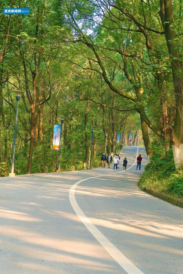 宜宾这3座山，绝了！(图8)