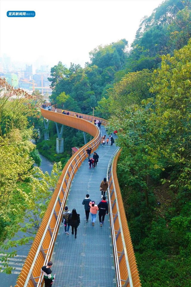 宜宾这3座山，绝了！(图13)