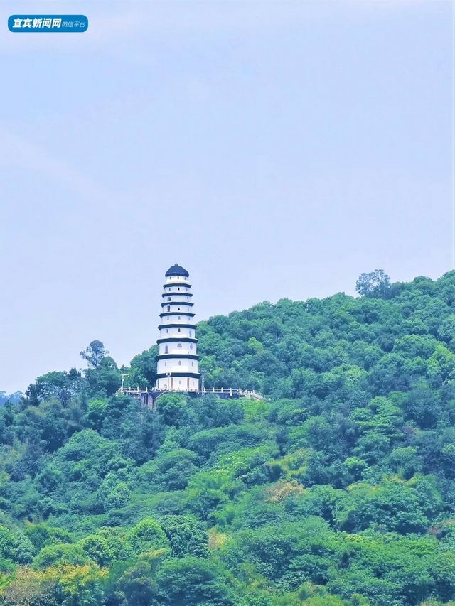 宜宾这3座山，绝了！(图17)