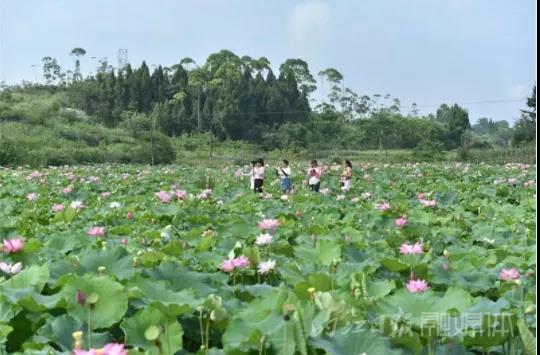 “火”而不乱！国庆假期前三天内江迎客超34万人次(图5)