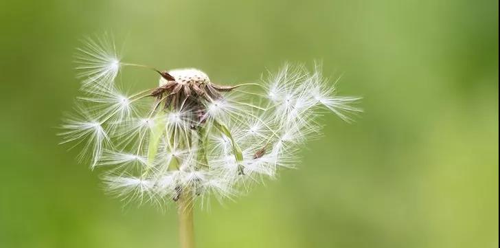 【扩散】88岁老奶奶下体掉了块“肉”？(图2)