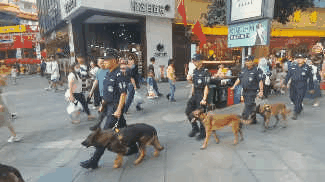 国庆第五日，泸州警队“清奇”兵首秀(图4)