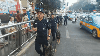 国庆第五日，泸州警队“清奇”兵首秀(图5)