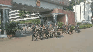 国庆第五日，泸州警队“清奇”兵首秀(图8)