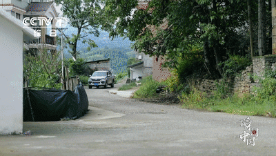 撒贝宁倾情讲述 | 央视一套国庆特别节目介绍泸州这座大桥(图4)