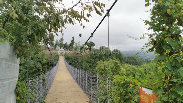 风景如画！内江又一座大型森林公园即将开放(图3)