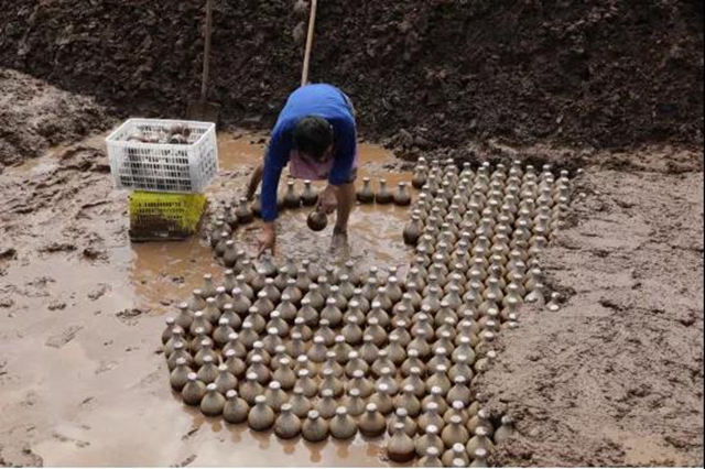 合江村民“种酒”分钱了！(图4)