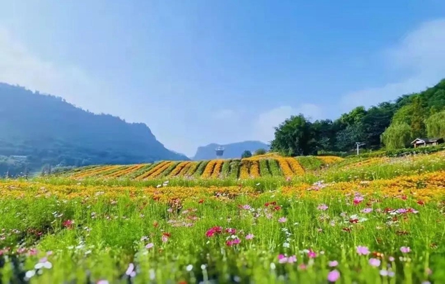 国庆期间泸州21家A级景区接待游客77.47万人次，同比增长23.4%(图12)