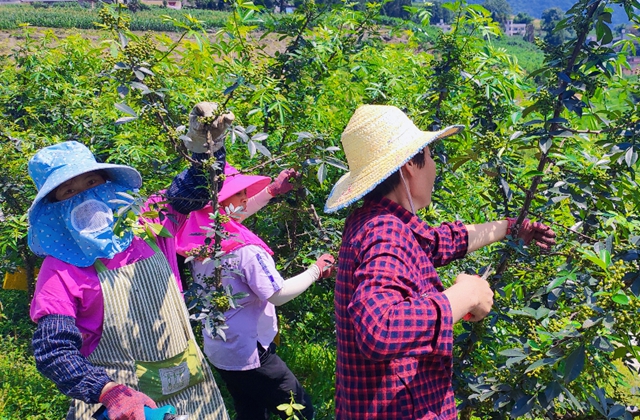 1790.7亿元！泸州前三季度GDP出炉(图3)