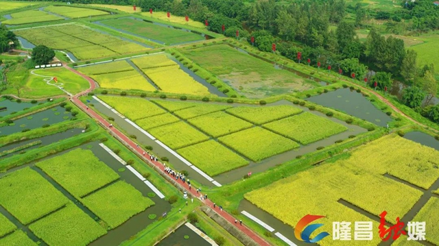 授牌！隆昌，中国西部鱼米之乡(图2)