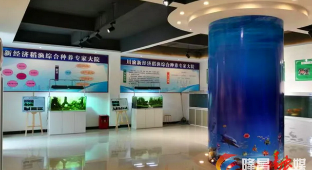 授牌！隆昌，中国西部鱼米之乡(图4)