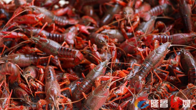 授牌！隆昌，中国西部鱼米之乡(图6)