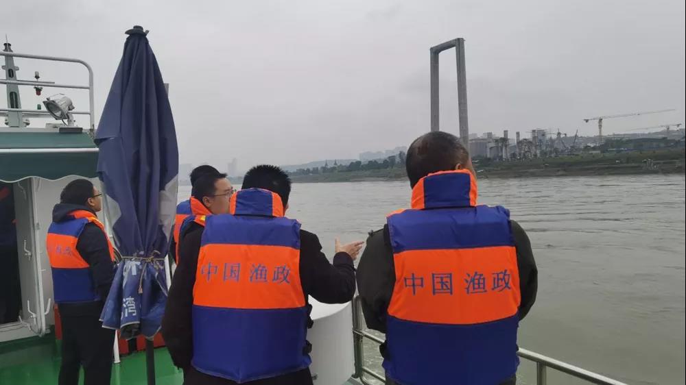 泸州市开展打击河道非法采砂非法捕捞综合执法巡查(图2)