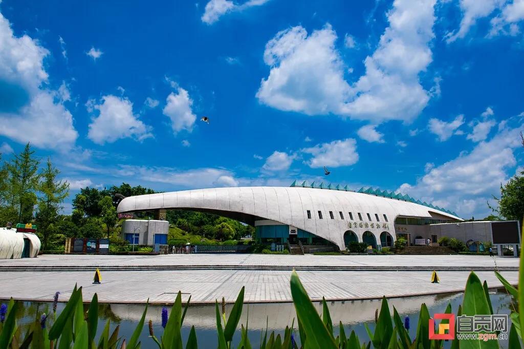 专属自贡、内江市民的福利来了！(图2)