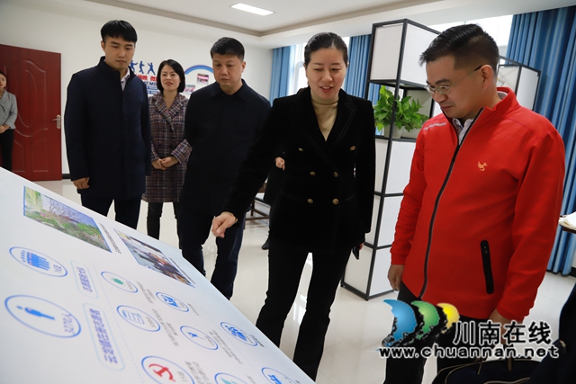 省乡村文化振兴样板村镇建设抽查组赴泸县云龙镇检查