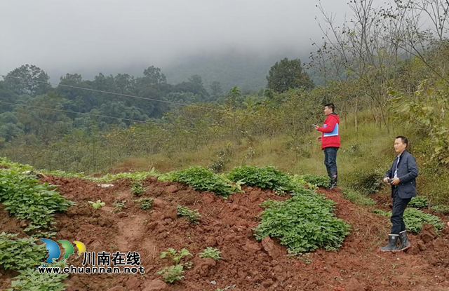 叙永县自然资源和规划局开展卫片执法违法图斑拆复整改验收工作