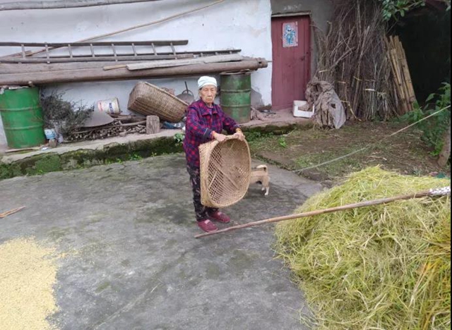 龙马潭竟有这么多位百岁老人？最长者109岁，长寿秘诀曝光！(图5)