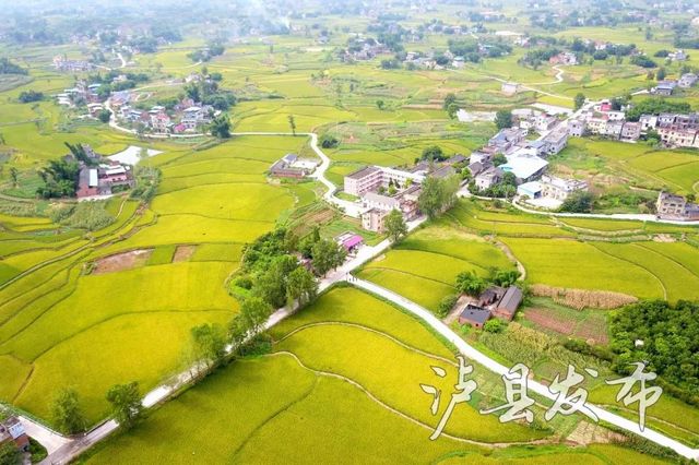 泸州市唯一！泸县入选第二批城乡交通运输一体化示范创建县名单(图4)