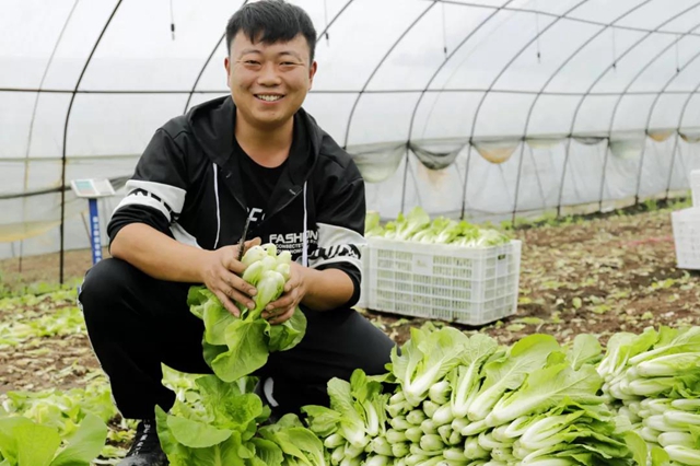 龙马潭：多措并举，力保市民“菜篮子”稳稳的(图3)