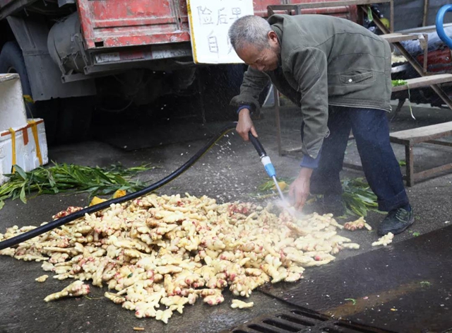 龙马潭：多措并举，力保市民“菜篮子”稳稳的(图6)