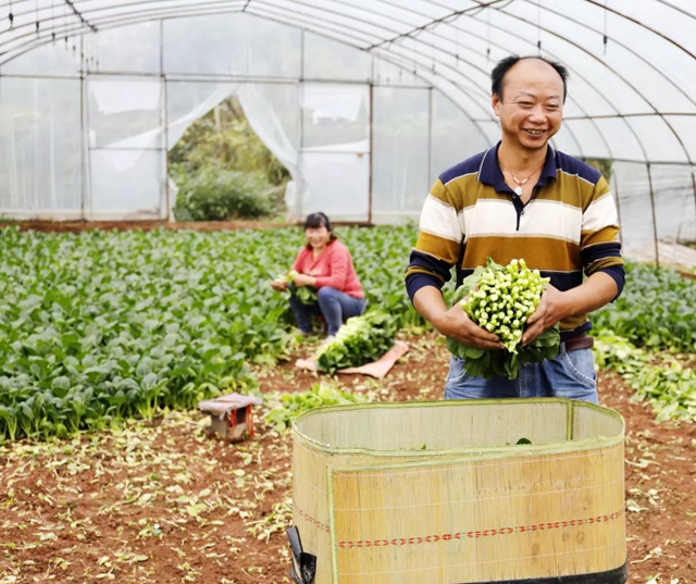 龙马潭：多措并举，力保市民“菜篮子”稳稳的(图2)