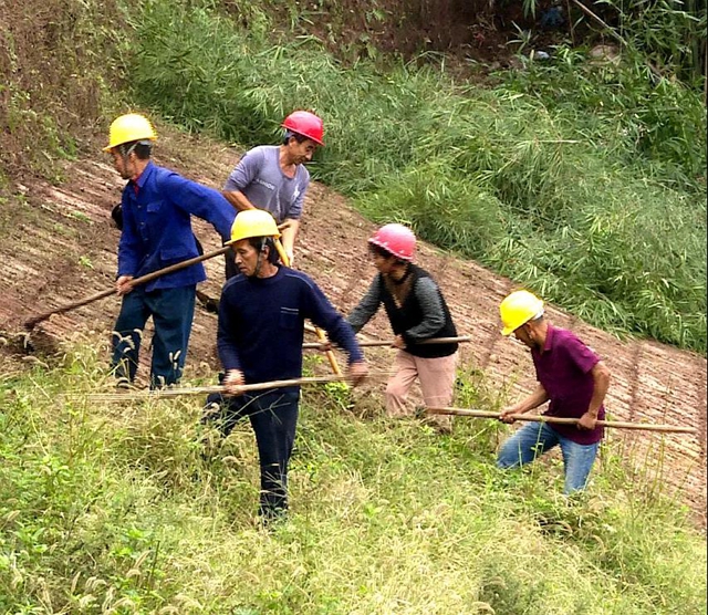 病险整治！宜宾这些水库迎来大变化！(图3)