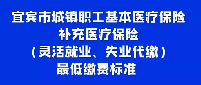宜宾市灵活就业人员缴纳基本养老保险和医疗保险费标准来了！(图3)