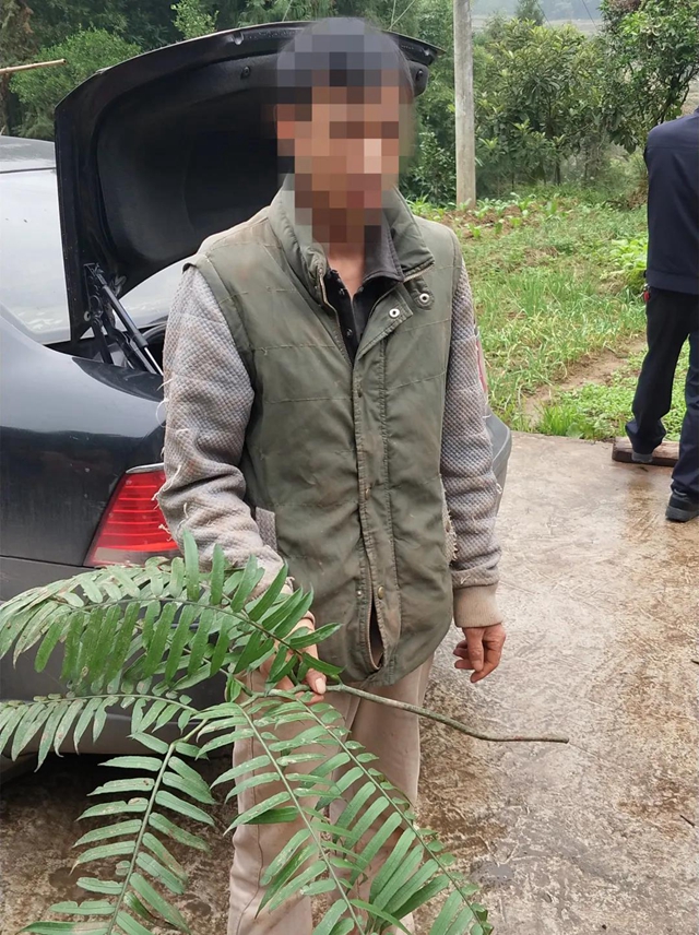 胆大包天！合江石龙镇一男子直播售卖国家二级保护植物，被网友举报……(图3)
