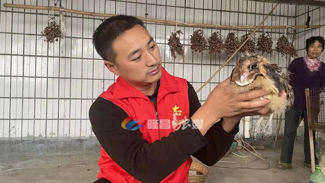 好稀奇！隆昌村民发现的这5只“怪鸟”，大有来头！(图2)