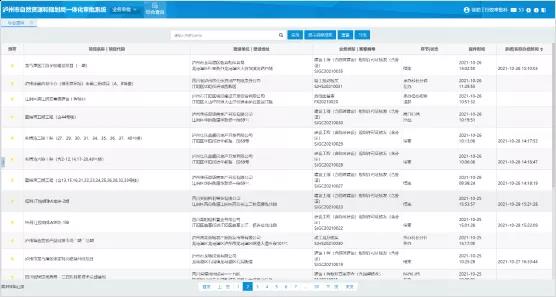 泸州时空大数据平台（二期）通过阶段性验收(图4)