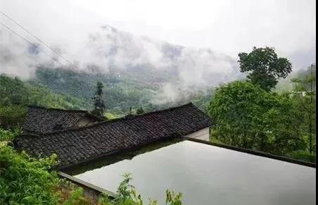 直播带货 让宜宾农产品有了“新销路”(图1)