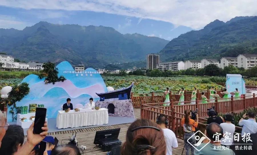 直播带货 让宜宾农产品有了“新销路”(图9)