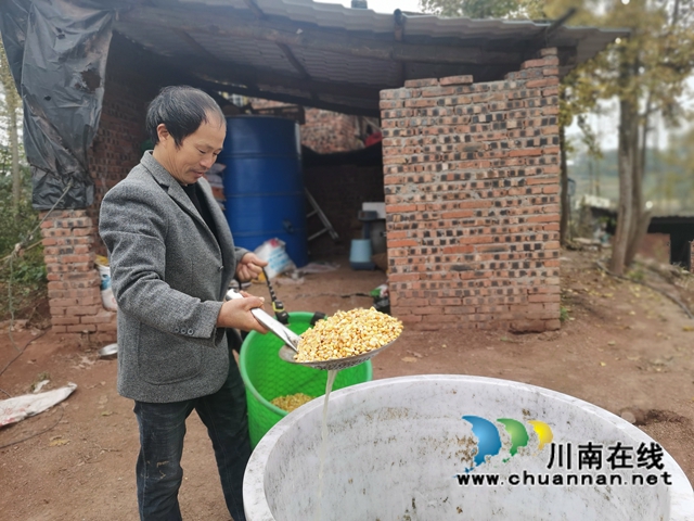 填补市场空档,泸县玄滩红膏蟹高价上市(图3) 填补市场空档,泸县玄滩红膏蟹高价上市(图3)