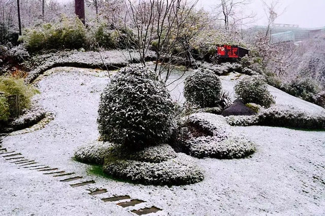 美如童话世界,“泸州之巅”雪花飘(图8) 美如童话世界,“泸州之巅”雪花飘(图8)
