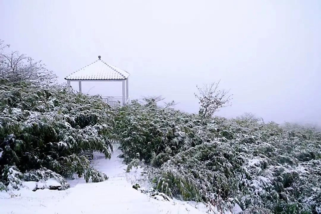 美如童话世界,“泸州之巅”雪花飘(图10) 美如童话世界,“泸州之巅”雪花飘(图10)