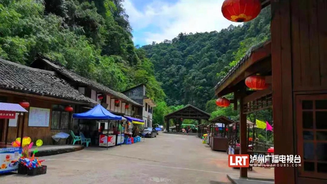 古蔺黄荆老林景区“升级”，未来将是“花海”世界(图5)