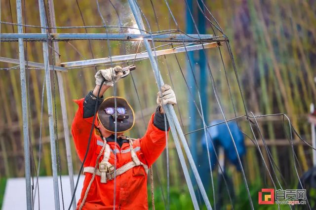 预计12月底开幕！第28届自贡灯会将带来全新体验(图8)