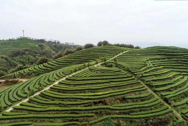 2021年中国美丽休闲乡村揭晓，纳溪这个村榜上有名