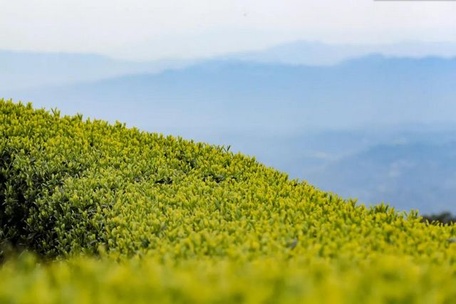 2021年中国美丽休闲乡村揭晓，泸州这个村榜上有名(图2)