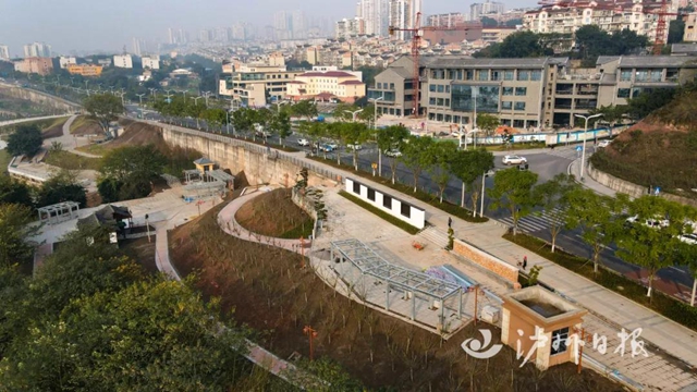 规划多个景点！泸州又一座滨江公园来了