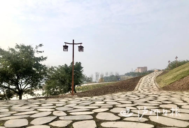 规划多个景点！泸州又一座滨江公园来了(图2)
