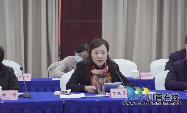 省自然资源厅副厅长丁湘调研指导泸州自然资源和规划工作(图5)