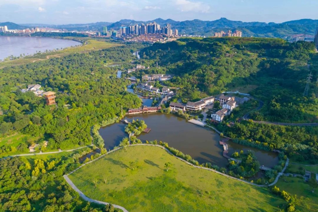 泸州两区县提前完成今年退耕还林补助资金兑付工作