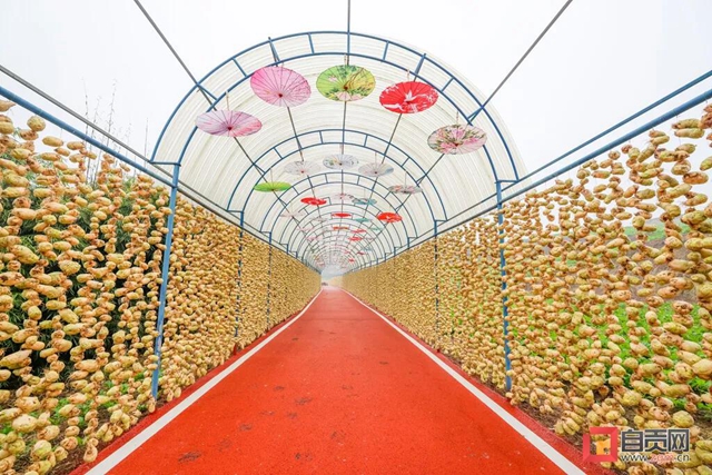 厉害了！自贡这条网红长廊销售产值预计近2亿(图1)