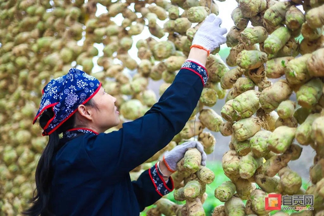 厉害了！自贡这条网红长廊销售产值预计近2亿(图3)