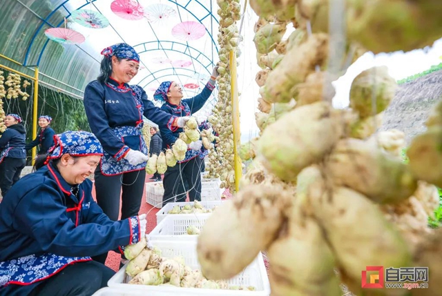 厉害了！自贡这条网红长廊销售产值预计近2亿(图2)