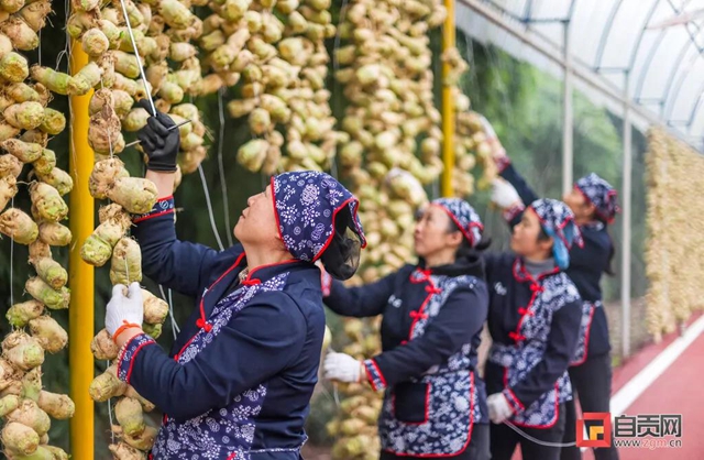 厉害了！自贡这条网红长廊销售产值预计近2亿(图4)